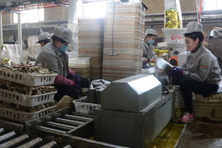 今日主題 1 4 n 工業(yè)體系建設(shè)