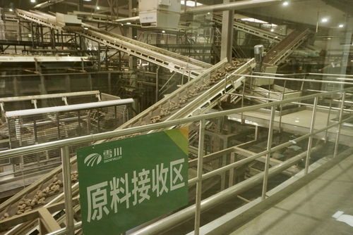從種子到餐桌 稅收政策紅利為企業發展保駕護航
