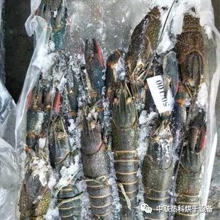 北京疾控發布冷鏈食品安全食用提醒