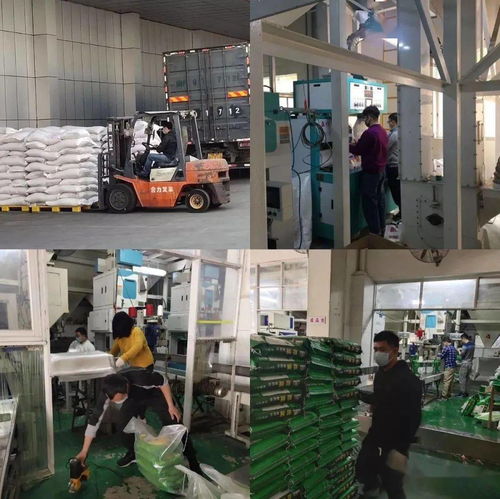 全國名單 增城這家企業上榜