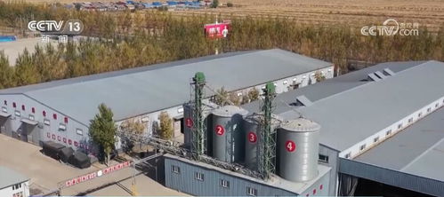 五谷豐登滿廩倉 金秋喜看各地好 豐 景